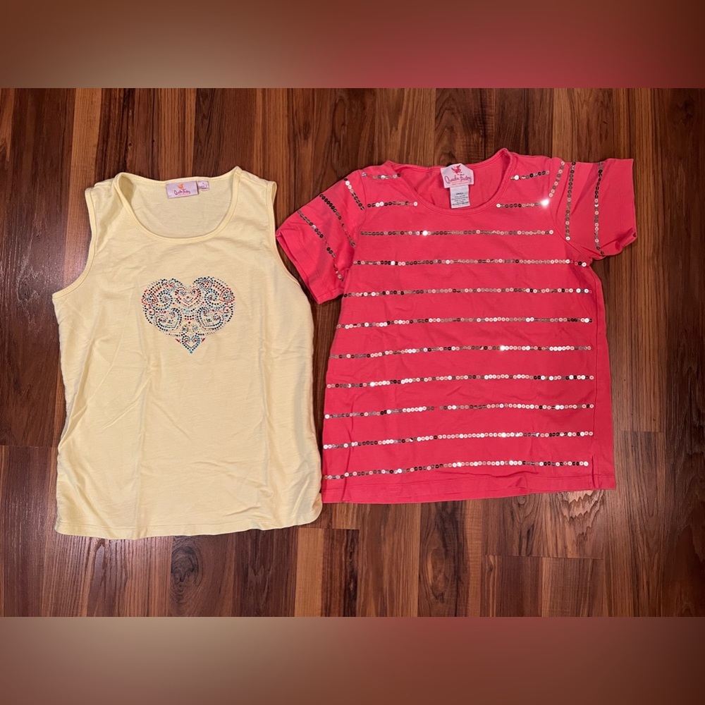 QUACKER FACTORY Coral SILVER METALLIC SEQUIN TOP  set size small